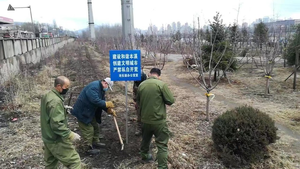 【创城进行时】本溪市太子河城市段沿岸小开荒治理工作圆满完成