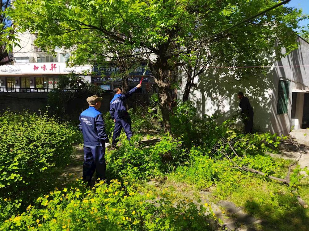 【创城进行时】市水务局联合市水务事务服务中心提升办公区域卫生水平助推创建全国文明城市